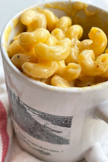 Microwave Mug Mac and Cheese Recipe