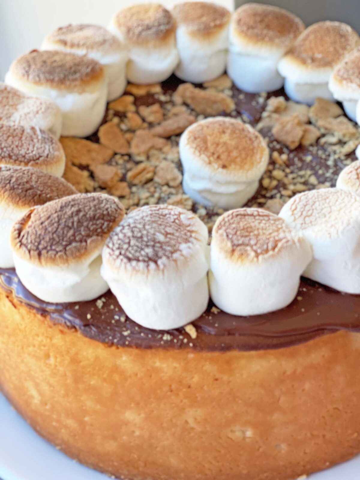 S'mores Cheesecake Topping Recipe